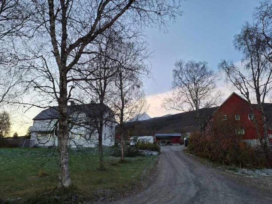 Farmroom With Sauna And Aurora Narvik Dış mekan fotoğraf