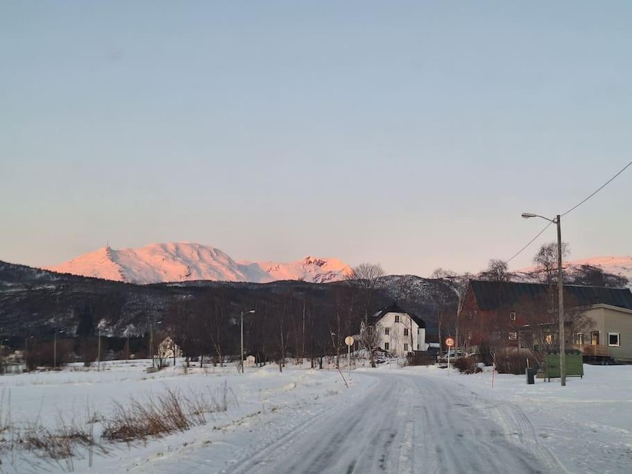 Farmroom With Sauna And Aurora Narvik Dış mekan fotoğraf