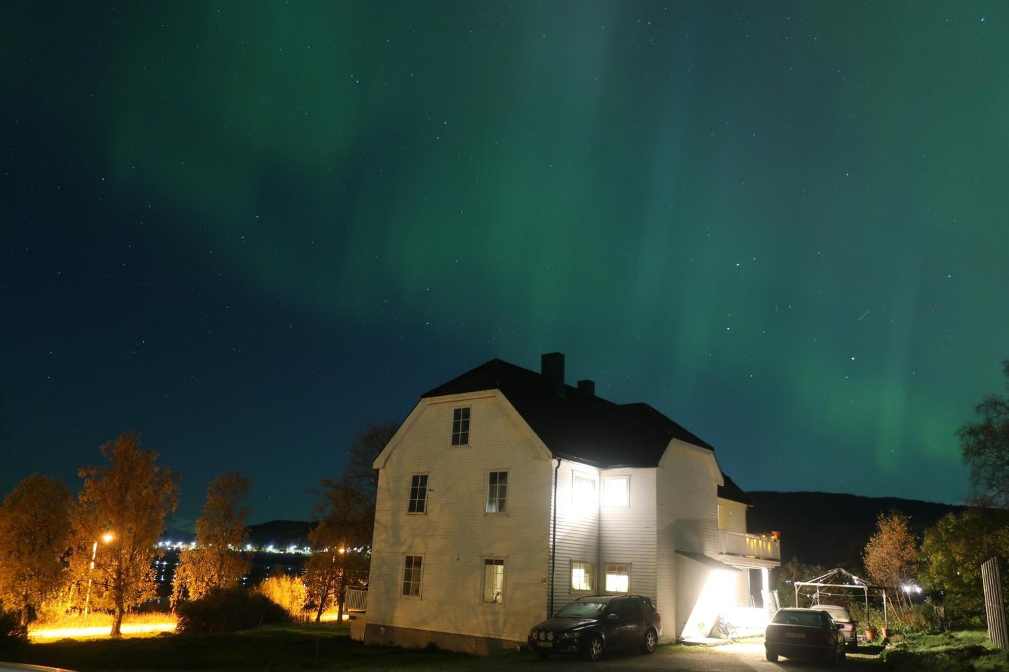 Farmroom With Sauna And Aurora Narvik Dış mekan fotoğraf